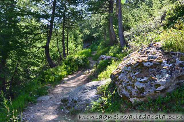 rifugio lepee